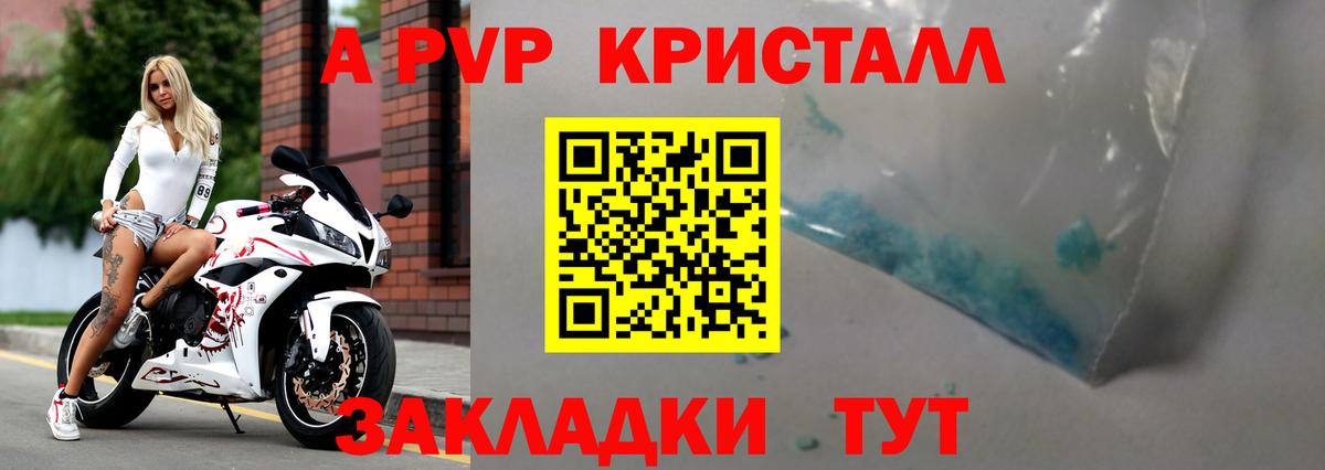 Alfa_PVP СК Можга