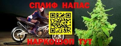 гашик Донецк
