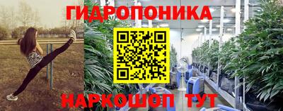 гашик Донецк