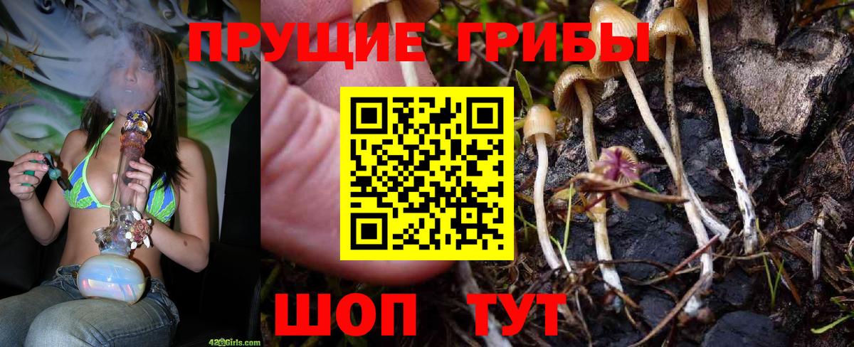 Псилоцибиновые грибы MAGIC MUSHROOMS Можга