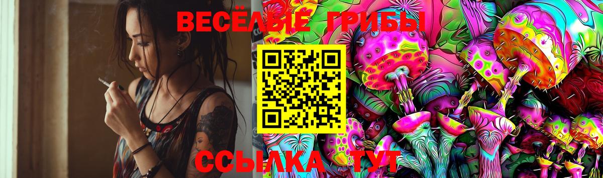 Псилоцибиновые грибы Cubensis  Вход с VPN  Можга 